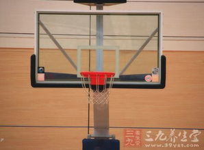 篮球用品选购常识 篮球篇